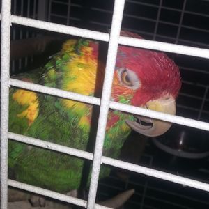 Meet your Posher, Christal